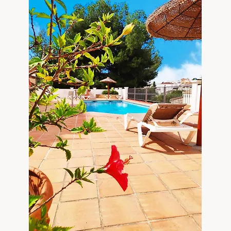 Canarias 6 *